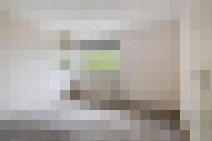 Lodewijk Pincoffsweg 43 Rotterdam thumbnail 20