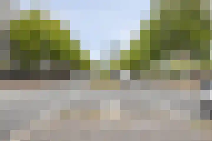 Lodewijk Pincoffsweg 43 Rotterdam thumbnail 27