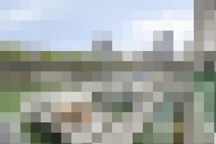 Lodewijk Pincoffsweg 43 Rotterdam thumbnail 32