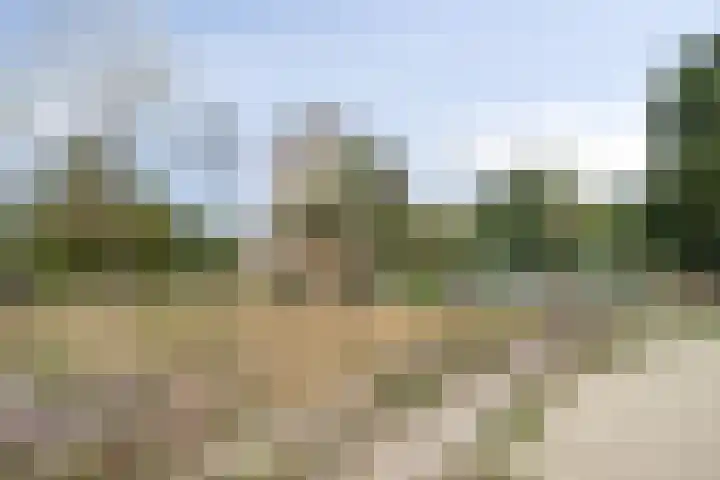 Lodewijk Pincoffsweg 43 Rotterdam thumbnail 33