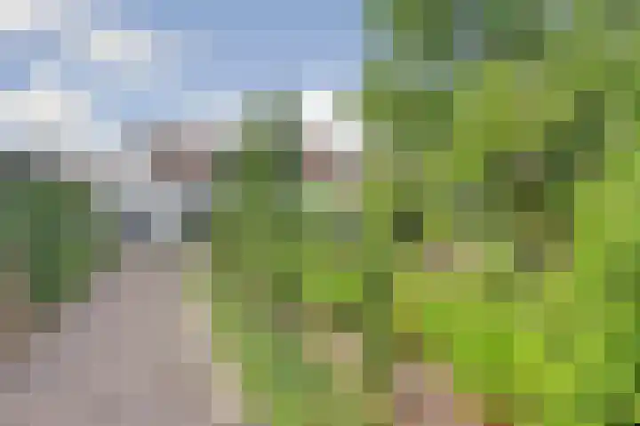 Lodewijk Pincoffsweg 43 Rotterdam thumbnail 37