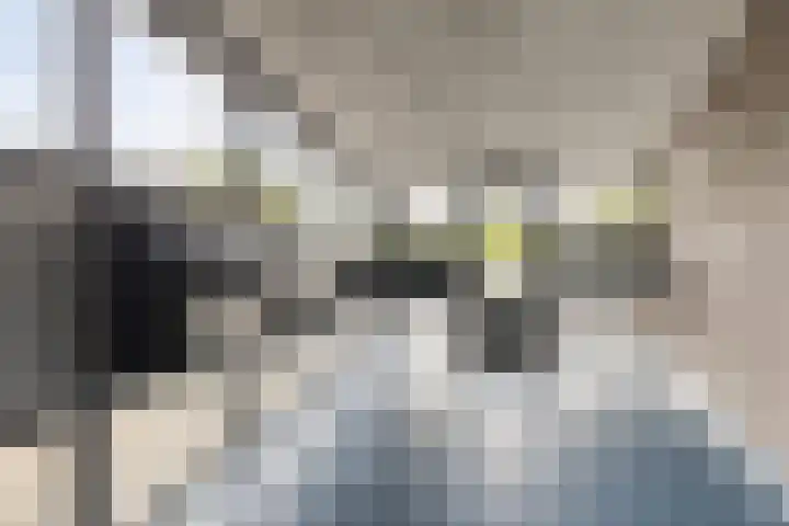 Lodewijk Pincoffsweg 43 Rotterdam thumbnail 4