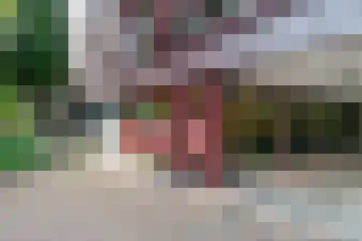 Lodewijk Pincoffsweg 43 Rotterdam thumbnail 6