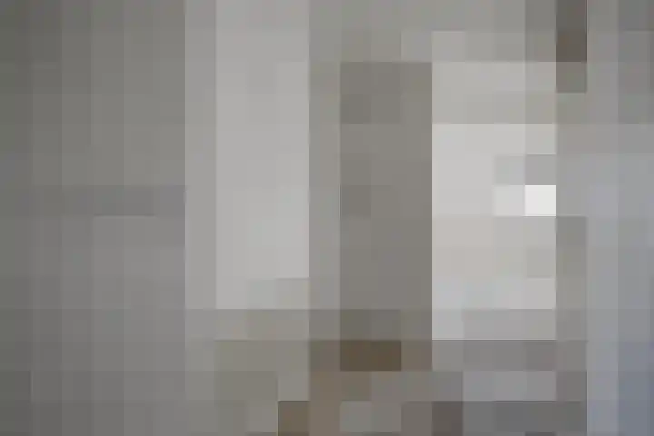 Lodewijk Pincoffsweg 43 Rotterdam thumbnail 7