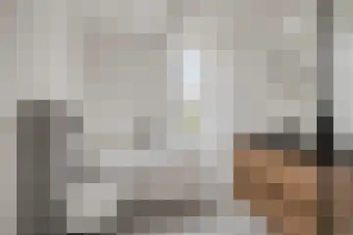 Lodewijk Pincoffsweg 43 Rotterdam thumbnail 9
