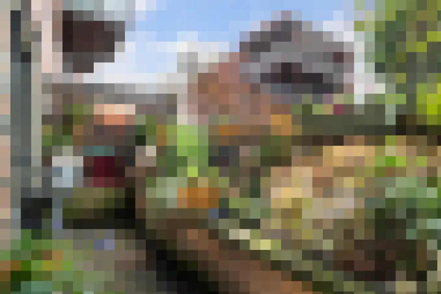 Lodewijk Pincoffsweg 444 Rotterdam thumbnail 11