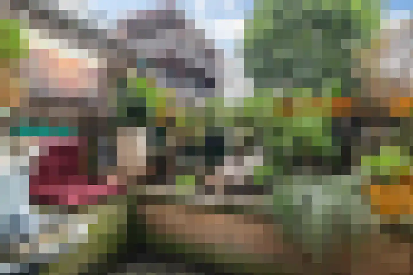 Lodewijk Pincoffsweg 444 Rotterdam thumbnail 12