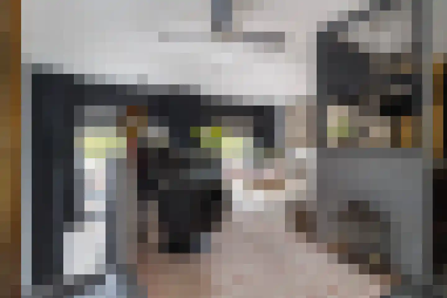 Lodewijk Pincoffsweg 444 Rotterdam thumbnail 5