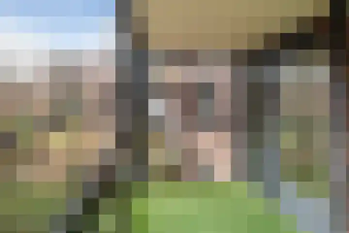 Lodewijk Pincoffsweg 450 Rotterdam thumbnail 21