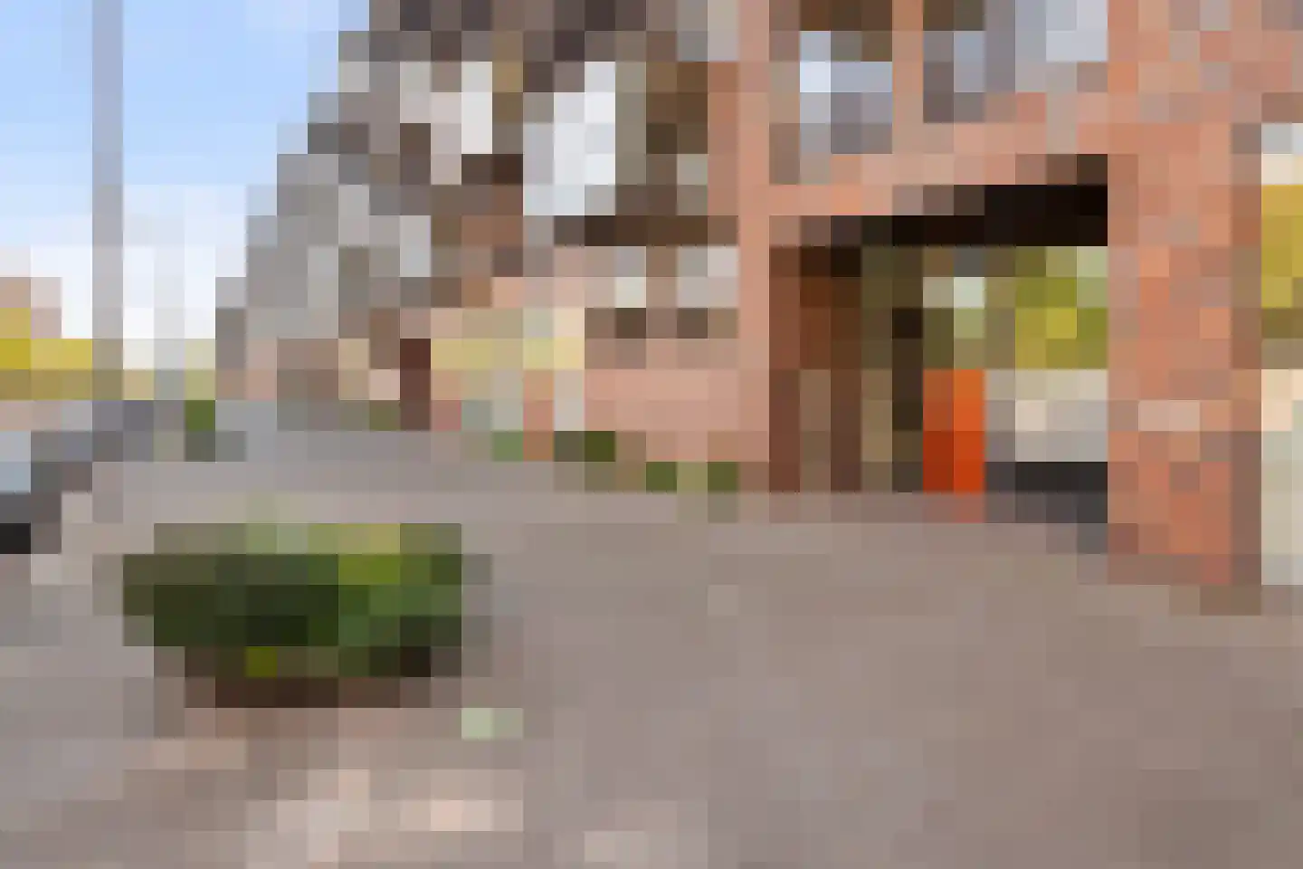 Lodewijk Pincoffsweg 536 Rotterdam thumbnail 25
