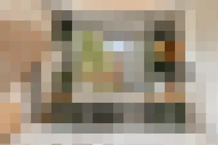Lodewijk Pincoffsweg 538 Rotterdam thumbnail 10