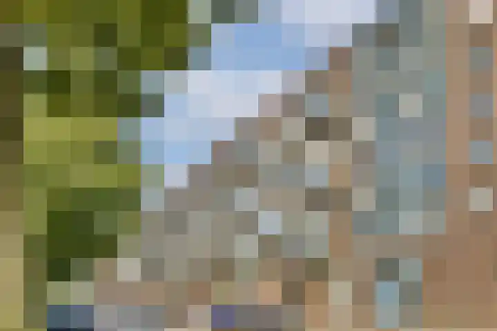 Lodewijk Pincoffsweg 538 Rotterdam thumbnail 4