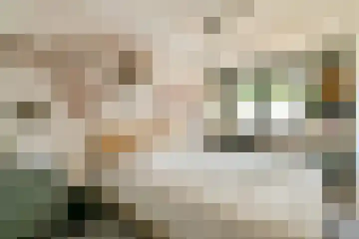 Lodewijk Pincoffsweg 538 Rotterdam thumbnail 9