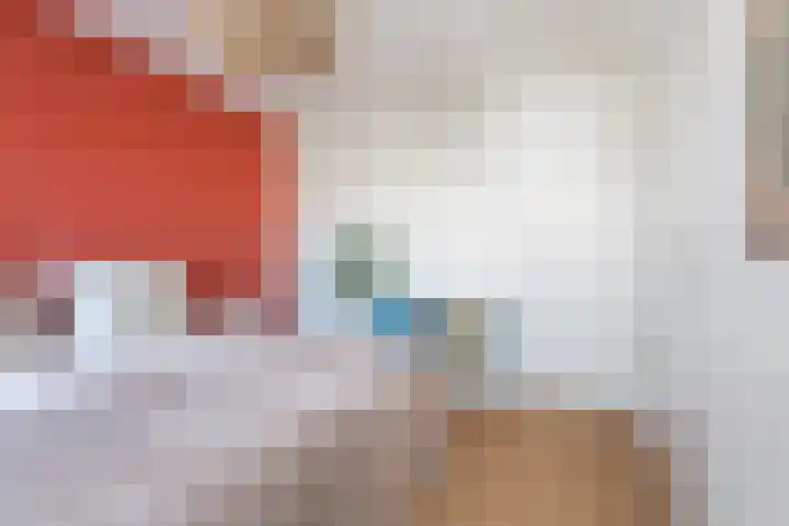 Lodewijk Pincoffsweg 69 Rotterdam thumbnail 12