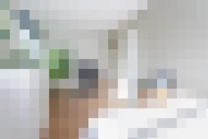 Lodewijk Pincoffsweg 69 Rotterdam thumbnail 14