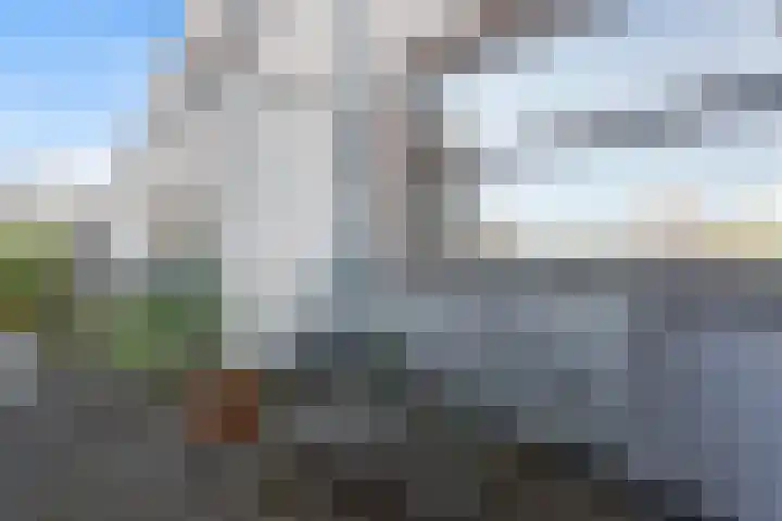 Lodewijk Pincoffsweg 69 Rotterdam thumbnail 21