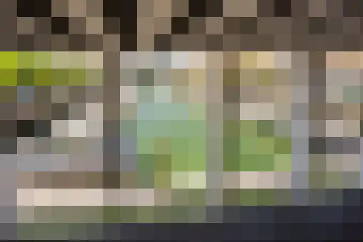 Lodewijk Pincoffsweg 69 Rotterdam thumbnail 26