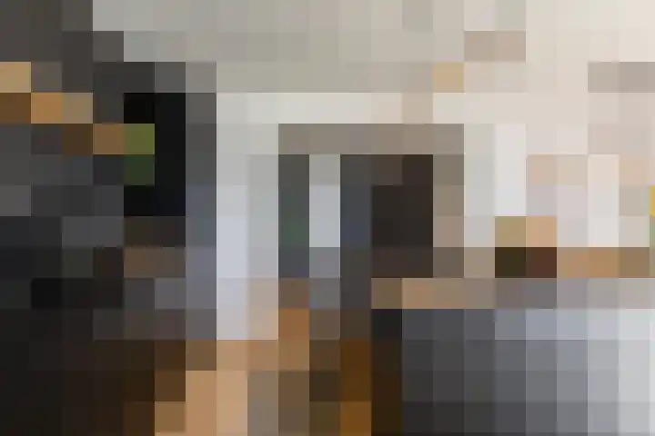 Lodewijk Pincoffsweg 75 Rotterdam thumbnail 15