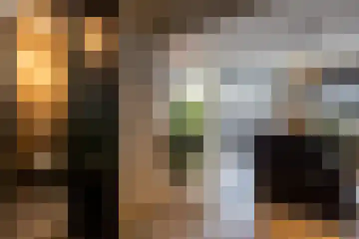 Lodewijk Pincoffsweg 75 Rotterdam thumbnail 20