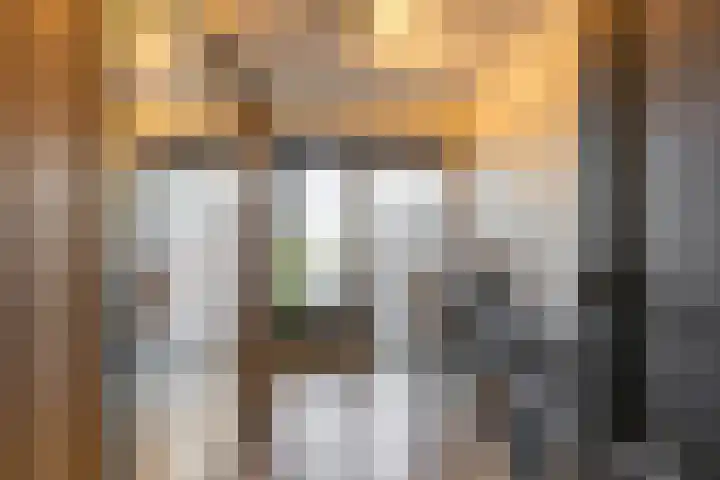 Lodewijk Pincoffsweg 75 Rotterdam thumbnail 33