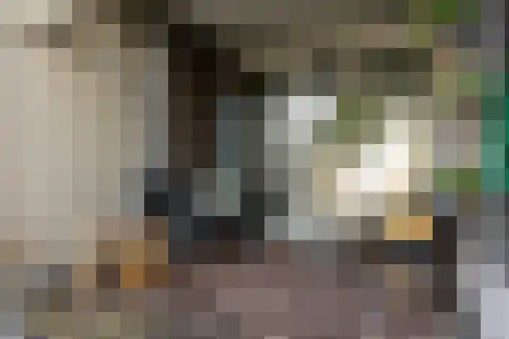 Lodewijk Pincoffsweg 75 Rotterdam thumbnail 34