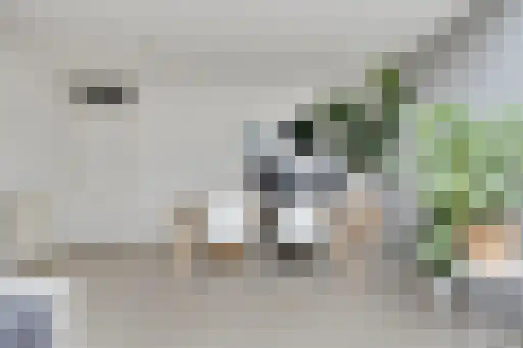 Lodewijk Pincoffsweg 91 Rotterdam thumbnail 5