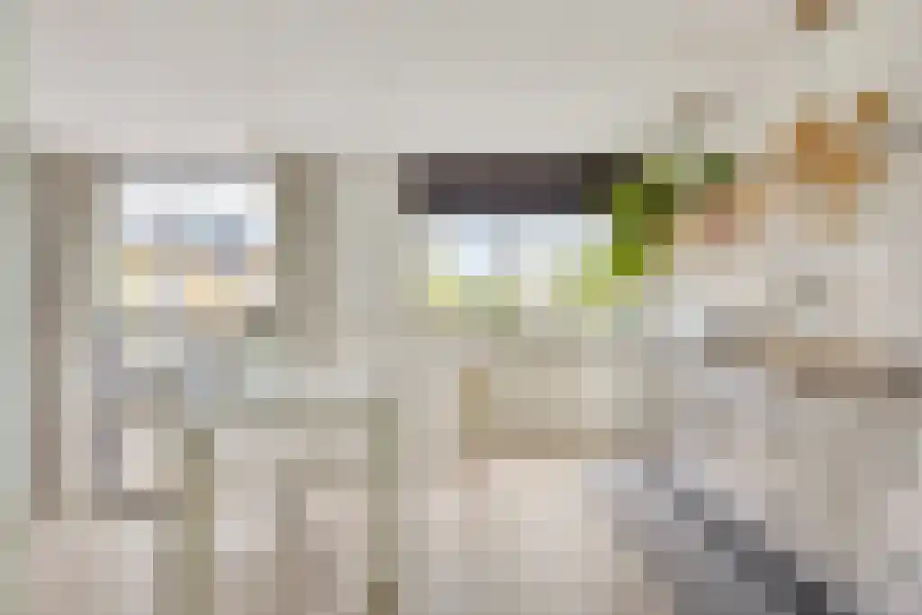 Lodewijk Pincoffsweg 91 Rotterdam thumbnail 6
