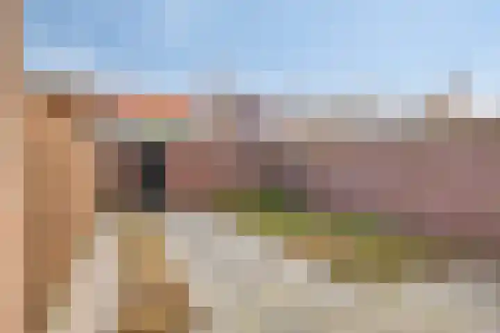 Lodewijk Roelandtstraat 2 Breda thumbnail 5