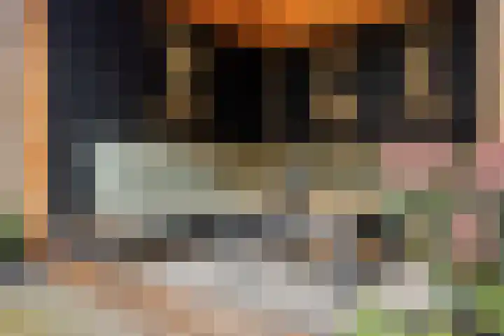 Lodewijk Roelandtstraat 4 Breda thumbnail 38