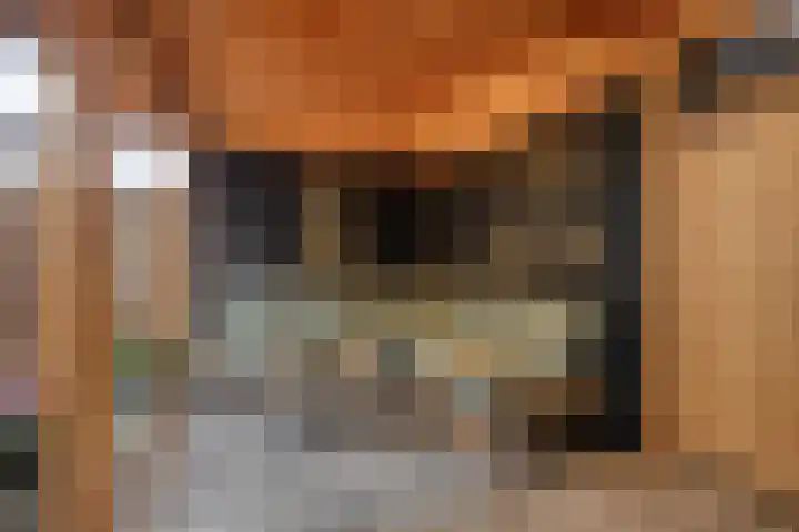 Lodewijk Roelandtstraat 4 Breda thumbnail 39