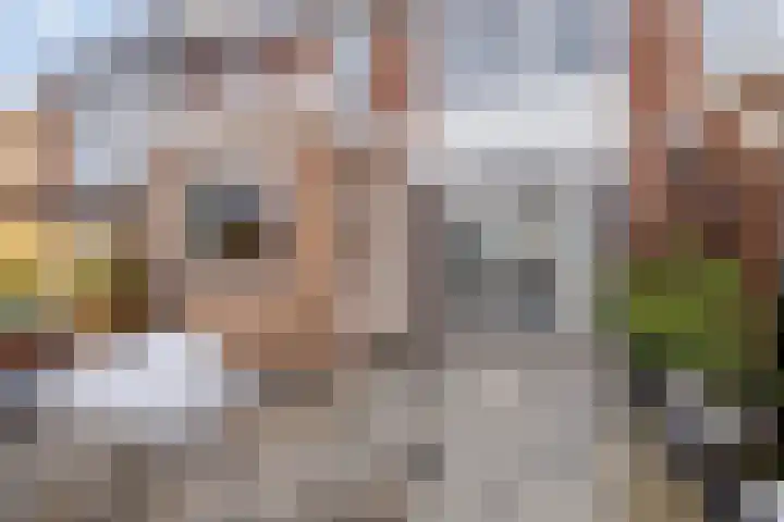 Lodewijk Roelandtstraat 4 Breda thumbnail 41