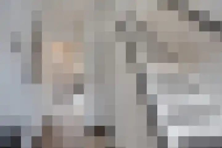 Lodewijk Roelandtstraat 4 Breda thumbnail 9