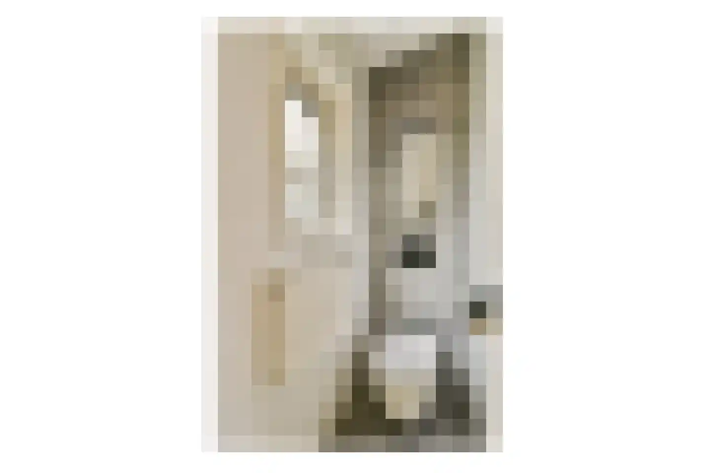 Lodewijk Tripstraat 15 2 Amsterdam thumbnail 9