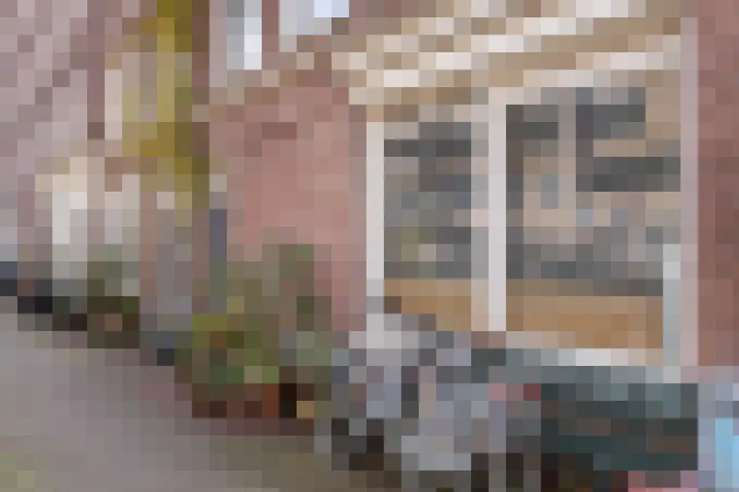 Lodewijk Tripstraat 17 3 Amsterdam thumbnail 4
