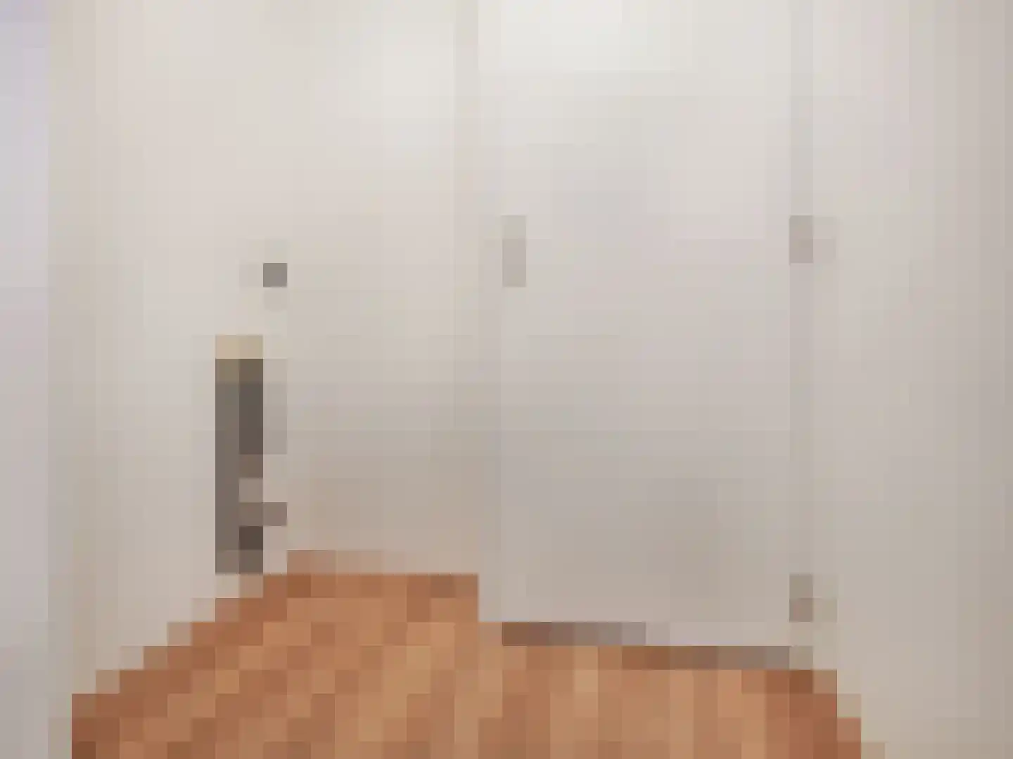 Lodewijk Tripstraat 17 H Amsterdam thumbnail 26
