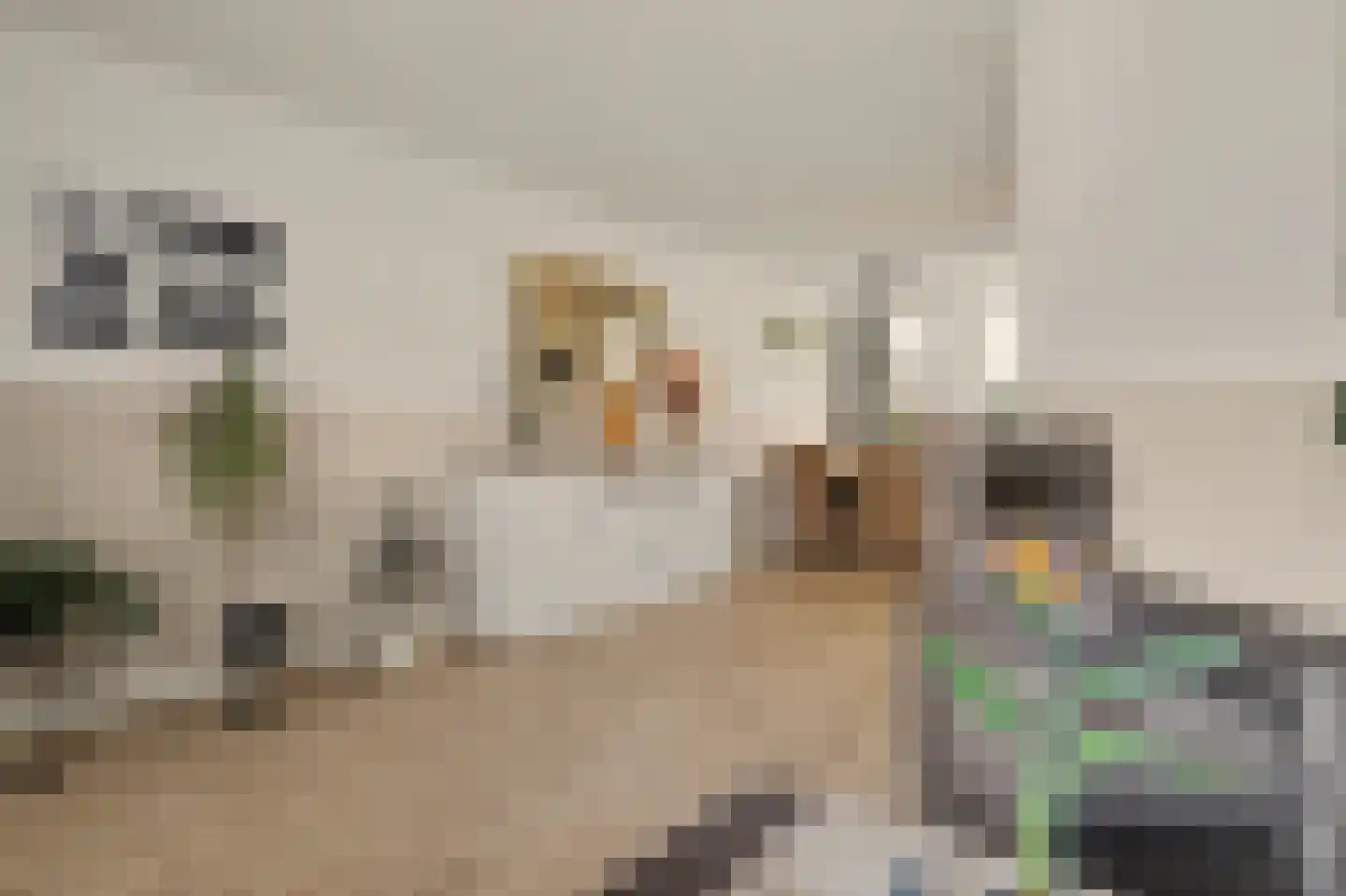 Lodewijk van Deysseldreef 29 Goirle thumbnail 10