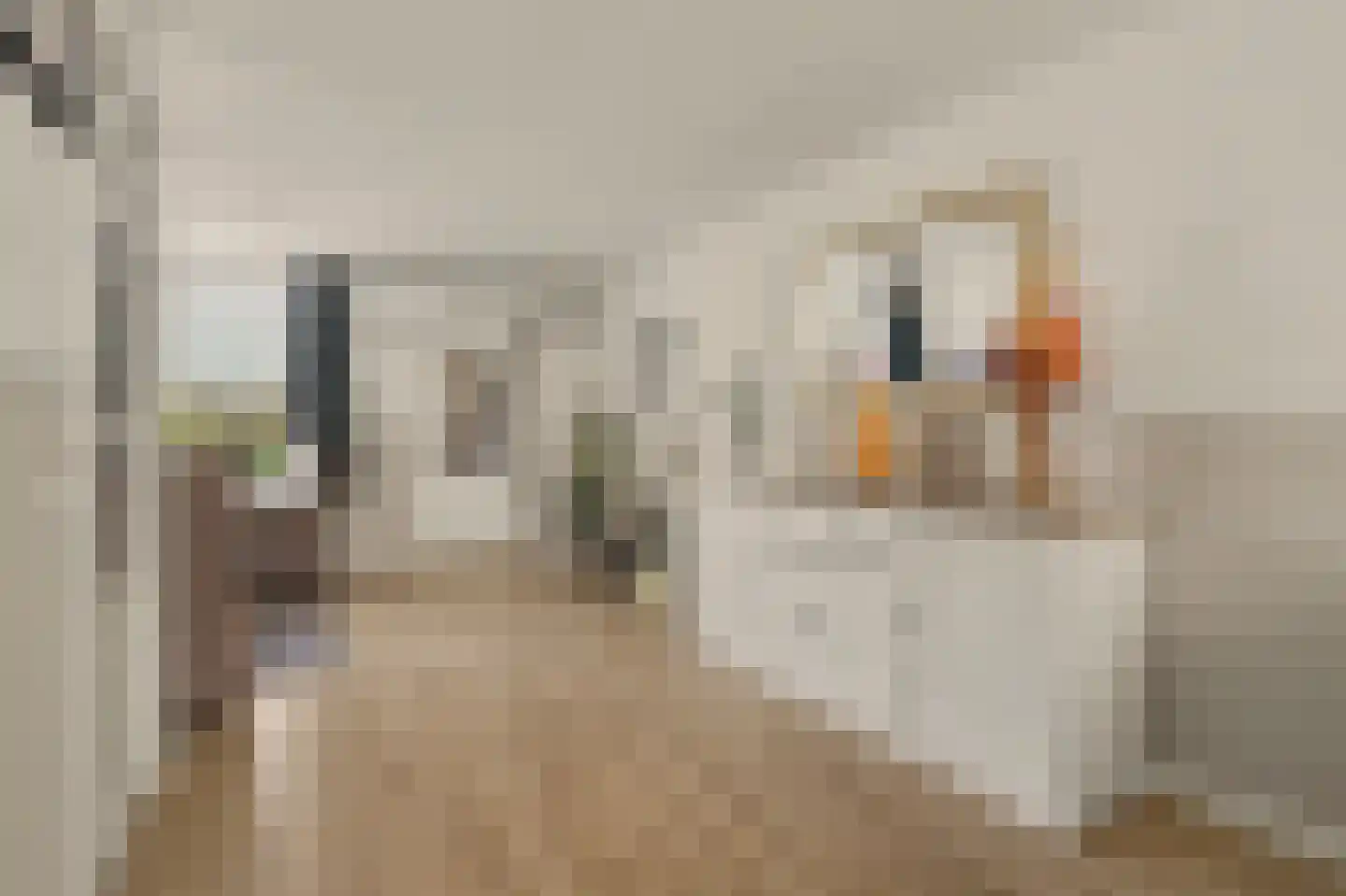 Lodewijk van Deysseldreef 29 Goirle thumbnail 11
