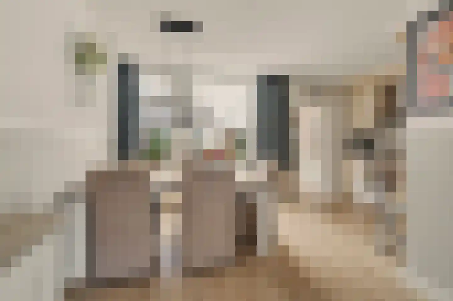 Lodewijk van Deysseldreef 29 Goirle thumbnail 12