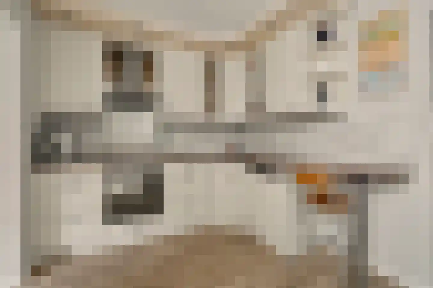 Lodewijk van Deysseldreef 29 Goirle thumbnail 15