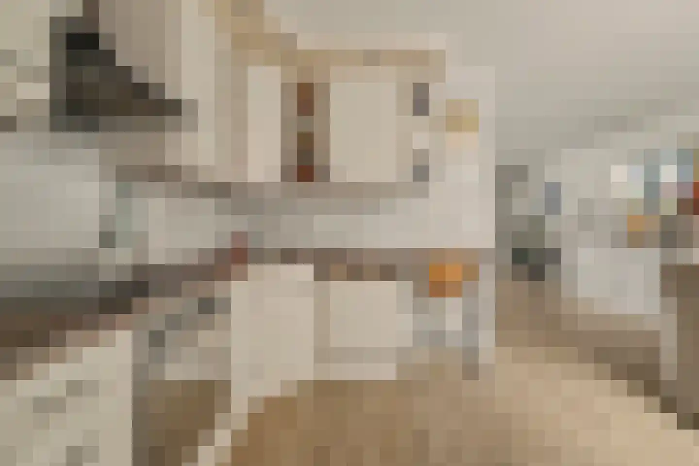 Lodewijk van Deysseldreef 29 Goirle thumbnail 16