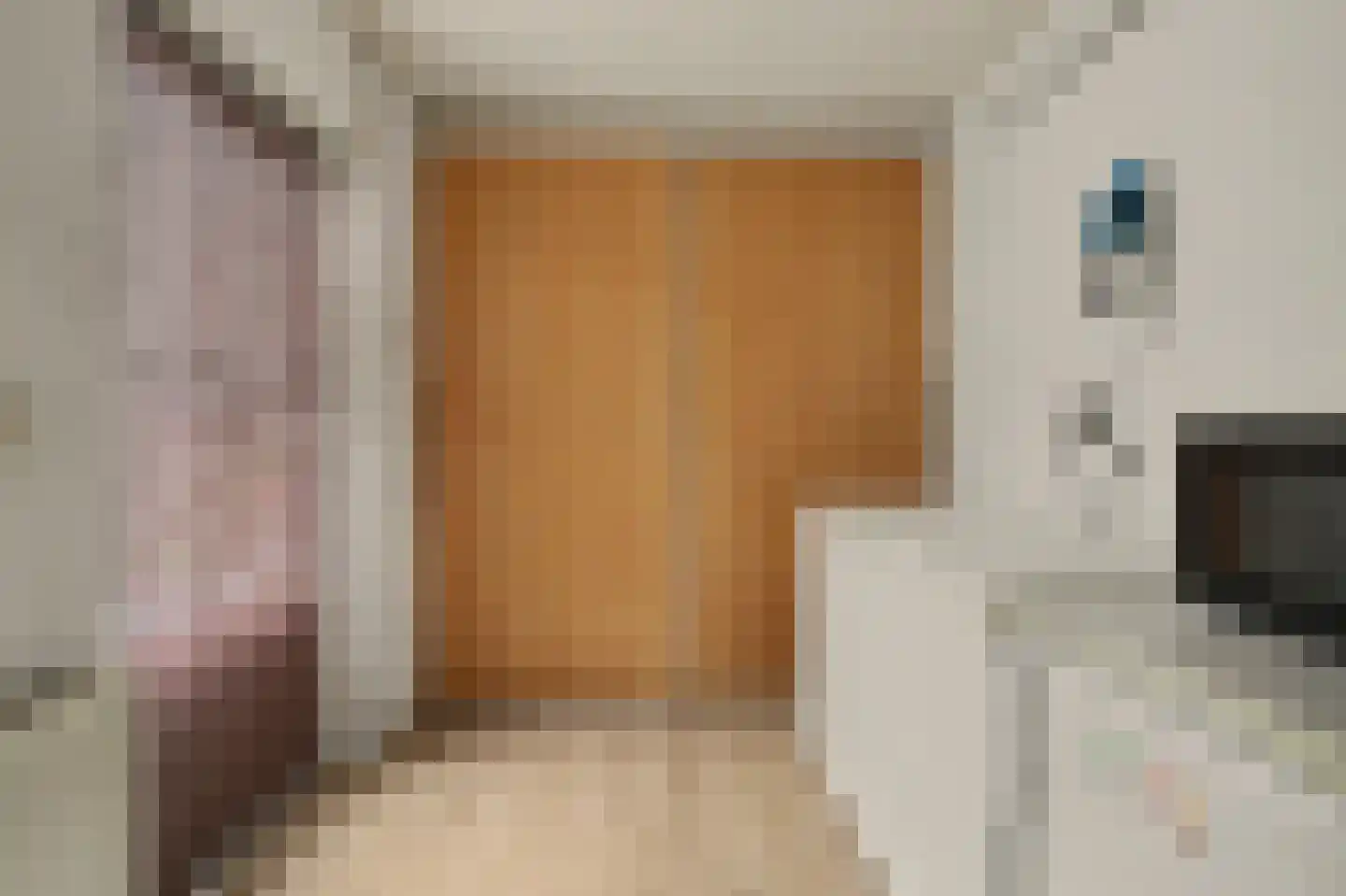 Lodewijk van Deysseldreef 29 Goirle thumbnail 17