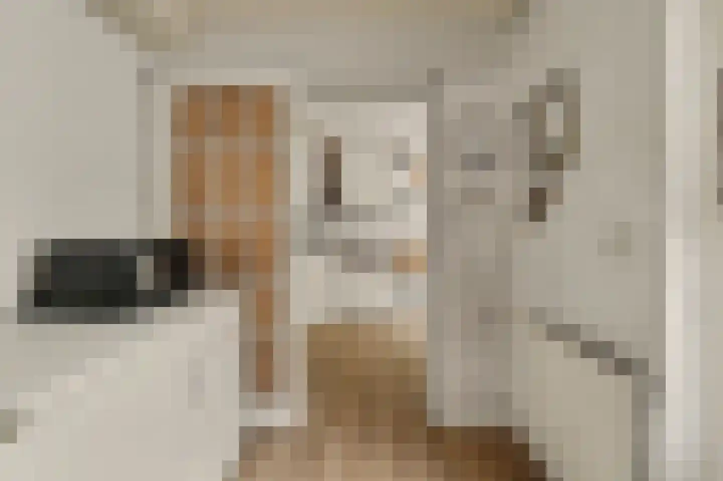 Lodewijk van Deysseldreef 29 Goirle thumbnail 18