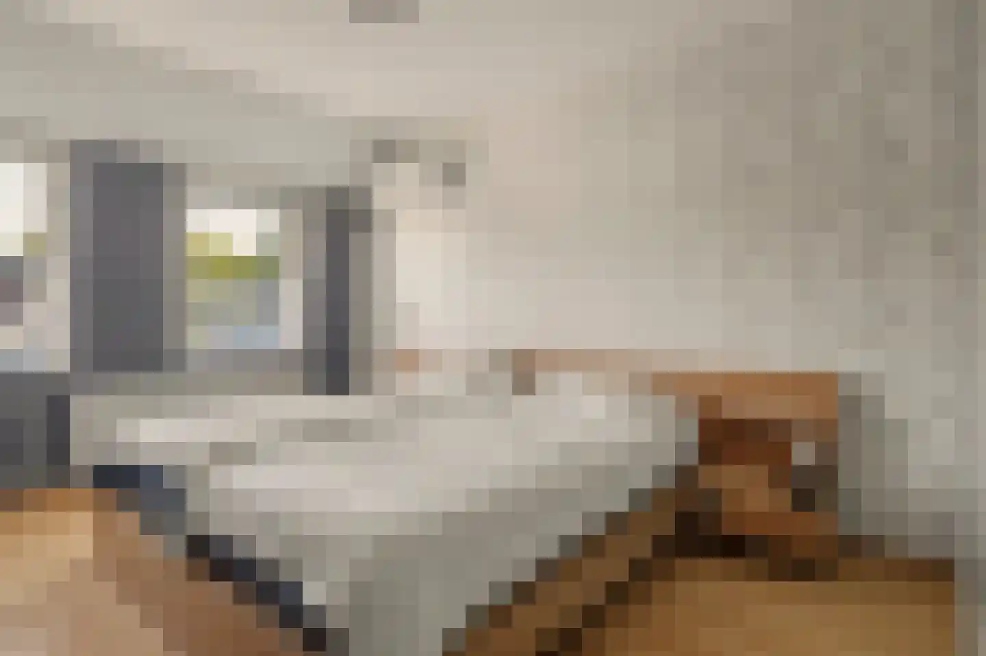 Lodewijk van Deysseldreef 29 Goirle thumbnail 21