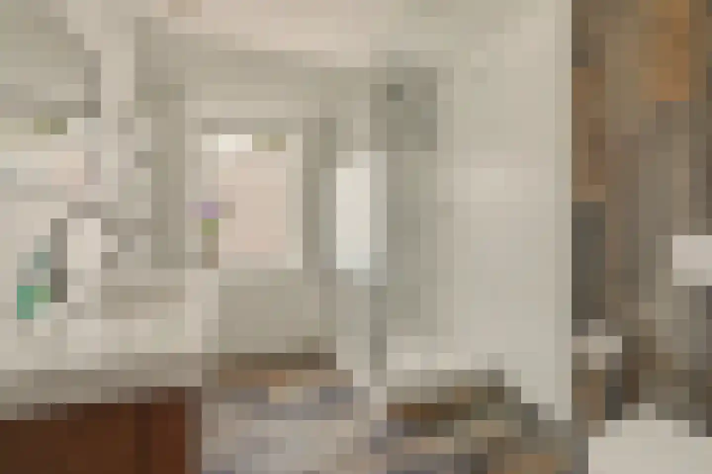 Lodewijk van Deysseldreef 29 Goirle thumbnail 27