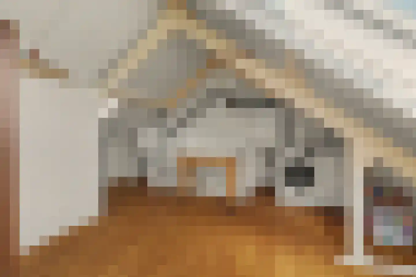 Lodewijk van Deysseldreef 29 Goirle thumbnail 30