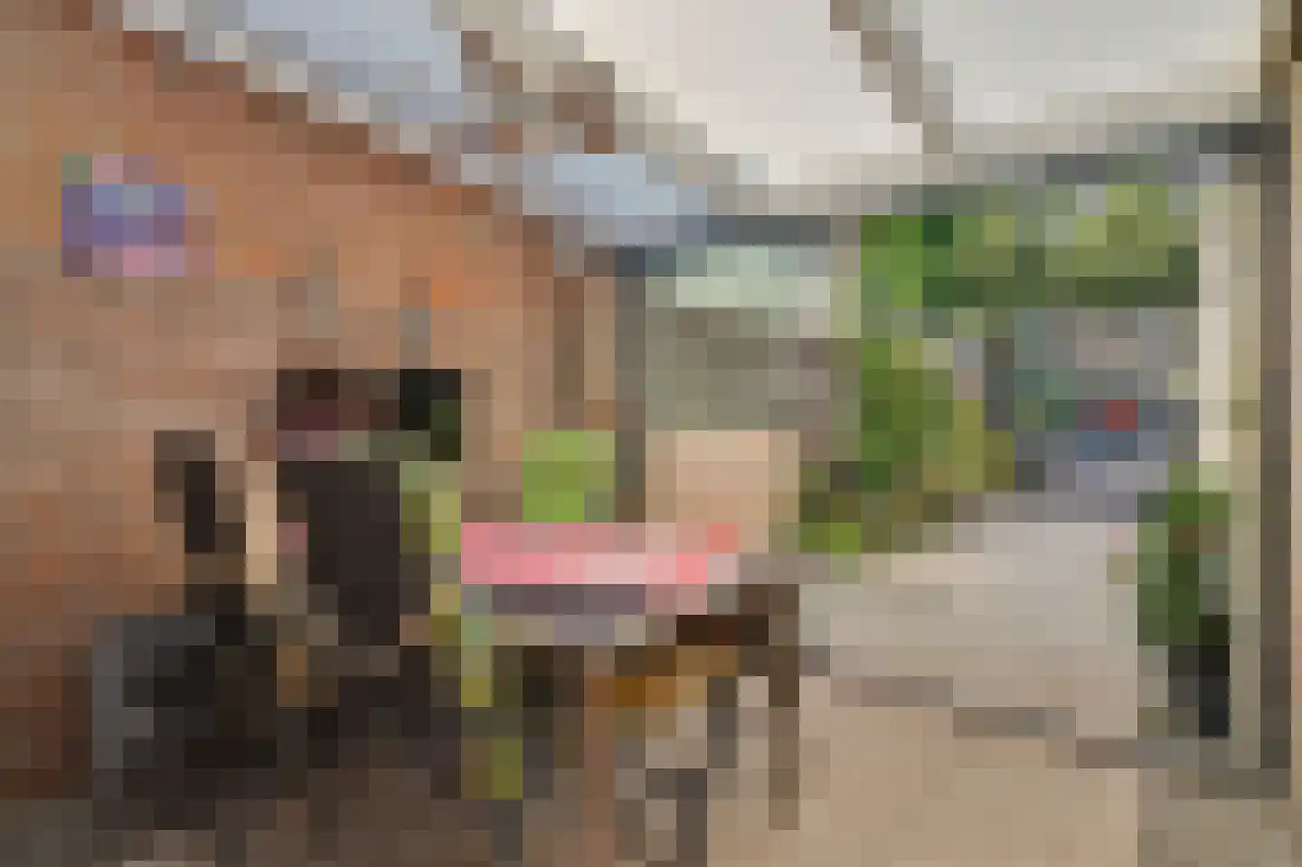 Lodewijk van Deysseldreef 29 Goirle thumbnail 31