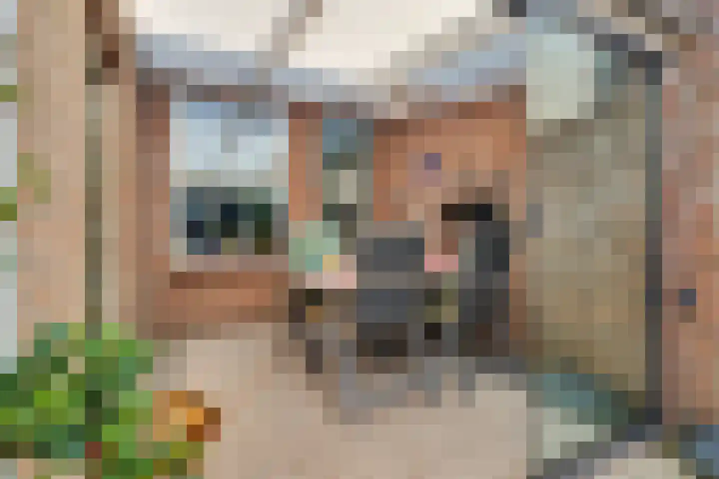 Lodewijk van Deysseldreef 29 Goirle thumbnail 32