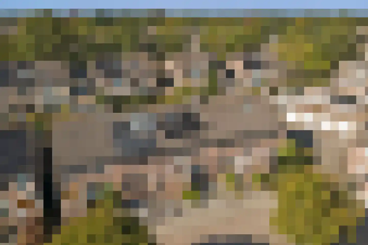 Lodewijk van Deysseldreef 29 Goirle thumbnail 38