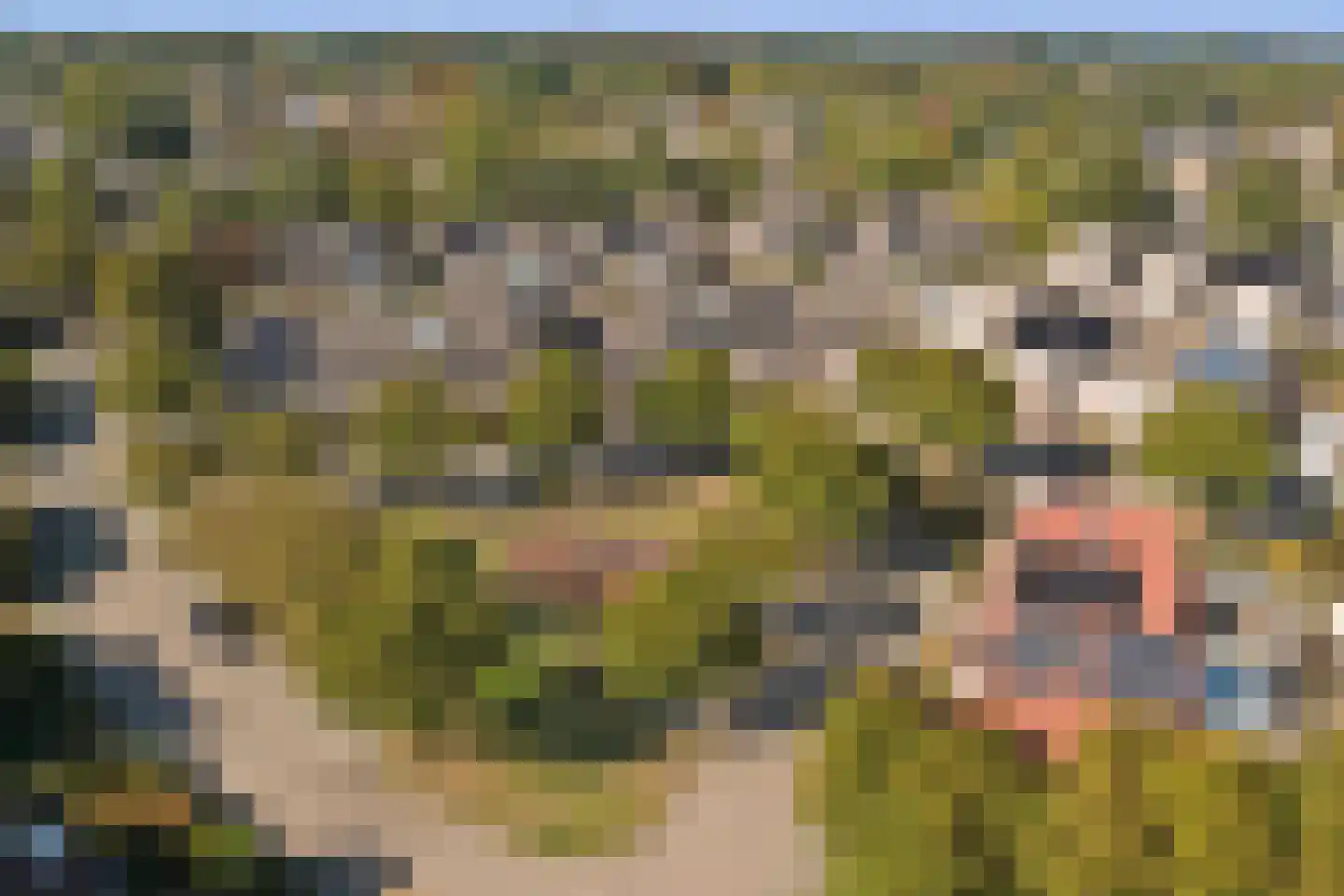 Lodewijk van Deysseldreef 29 Goirle thumbnail 4