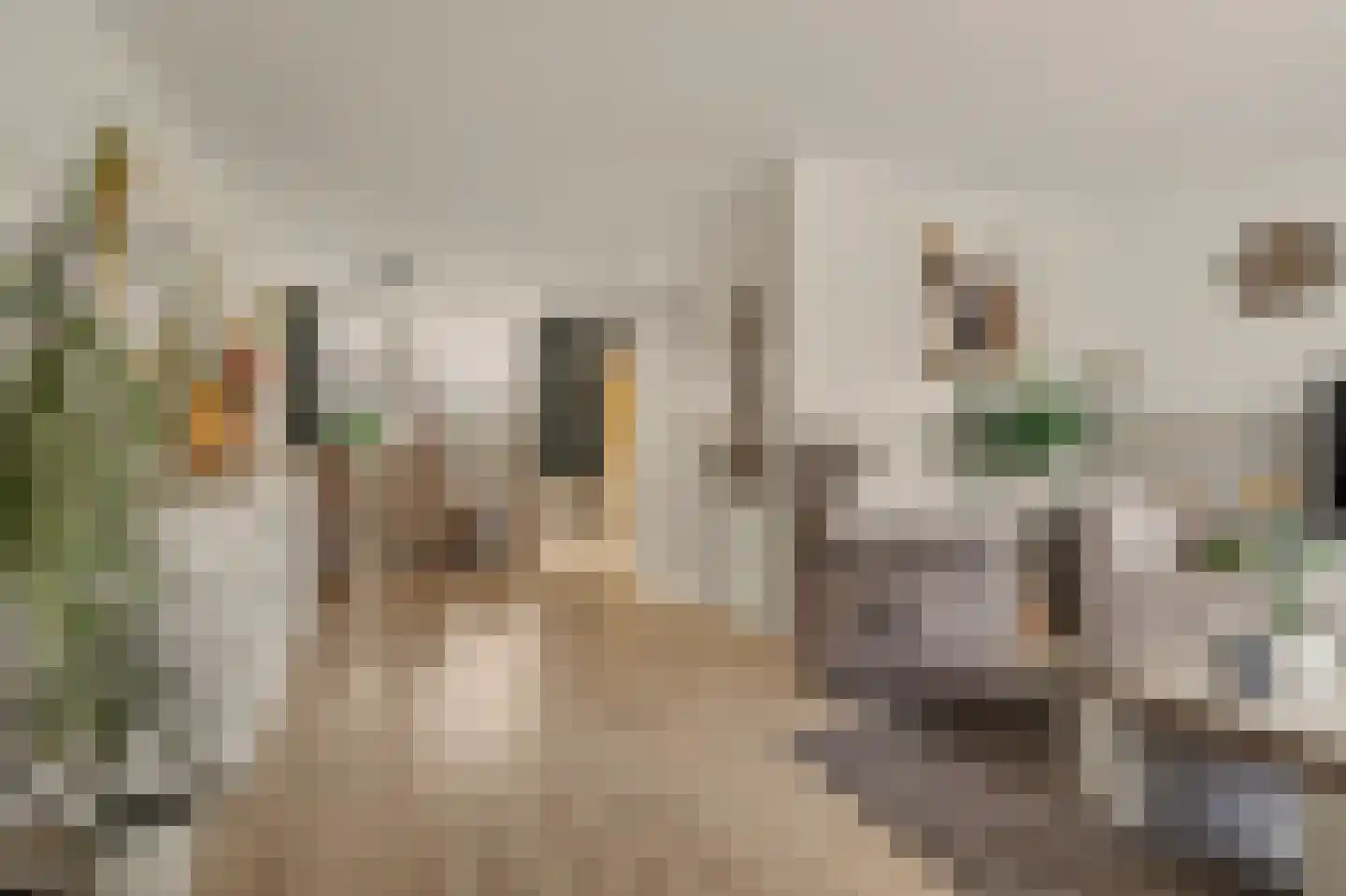 Lodewijk van Deysseldreef 29 Goirle thumbnail 7